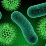 Are We Killing Ourselves with Sanitation?